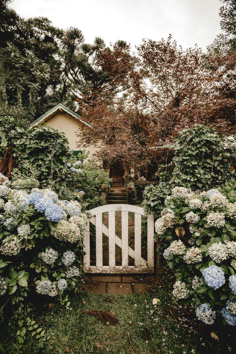 Maple Bloom Garden Design 12